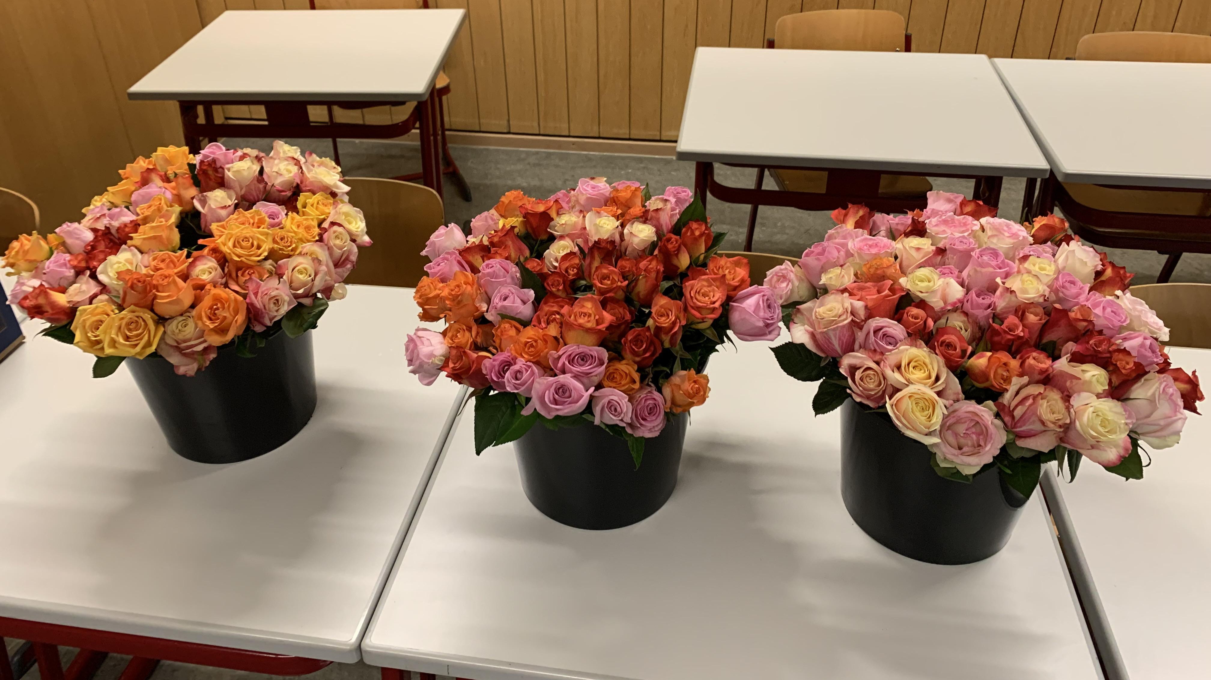 SMV: Eine Rose zum Valentinstag